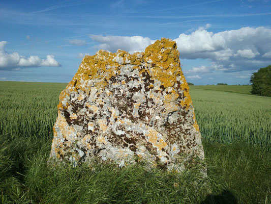 Menhir dit Grosse Pierre (Vouillé)