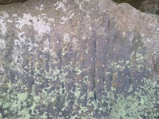 Dolmen dit La Pierre Couverte (Thizay) détail du polissoir 3
