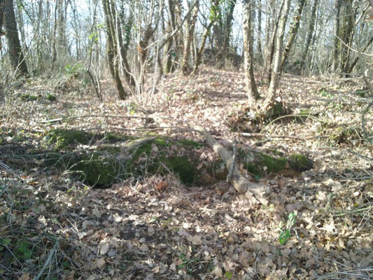 Dolmen du Bois de Neuilly (Léméré)