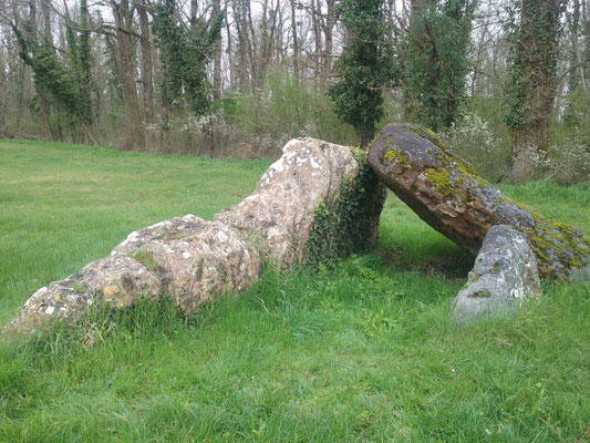 Dolmen dit la Pierre-Levée de Maisonneuve (Roche-Rigault)