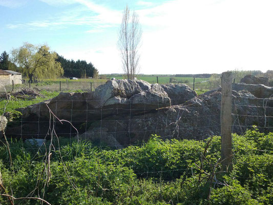 Dolmen dit la Pierre-de-Verre (Saint-Laon)