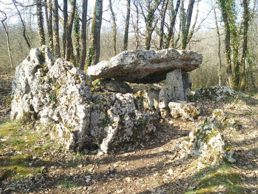 Dolmen d'Arlait (Château-Larcher)
