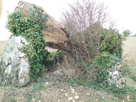 Dolmen des Pelyverts (Senillé)