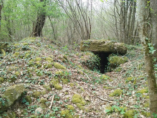 Dolmen de Busserais (Bussière)