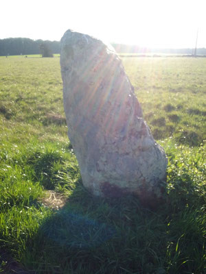 Menhir de la Pierre à Vinaigre (Nouzilly)