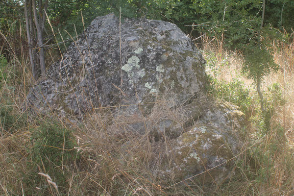 Menhir dit la Pierre à Vinaigre (Saché)