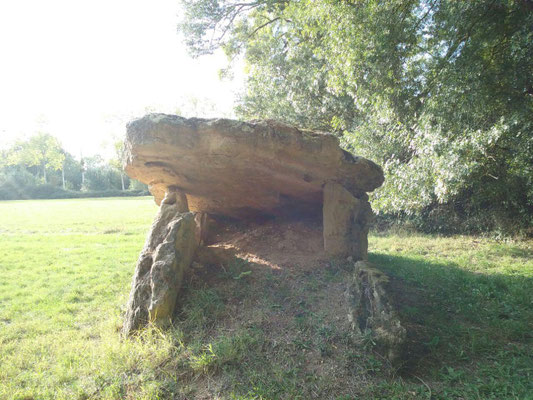 Dolmen de la Grosse Pierre (Beaumont-en-Véron)