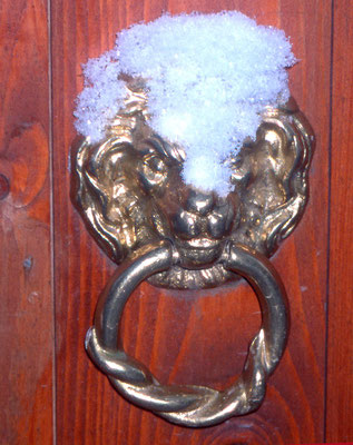 Löwenknauf mit Schneemähne