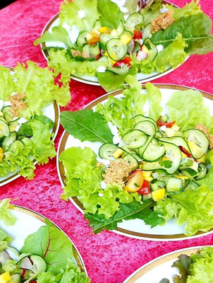 Teller mit frischem Salat aus dem eigenen Garten, grüner Salat, Tomaten und Gurken