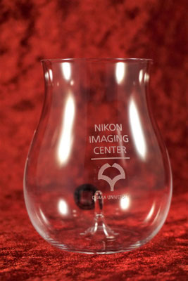 ギフト オリジナル グラス 名入れ 名前 ロゴ 写真  祝 おしゃれ 安い 景品 東京 販促 記念品 製作 プレゼント ノベルティ ボダム ダブルウォール サーモス コップ タンブラー 店舗用 業務用 ペット 格安
