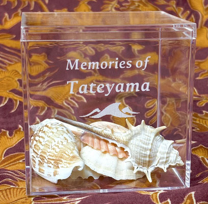 館山 ホテル 館山リゾートホテル イベント 夏休み アトリエ・エノン