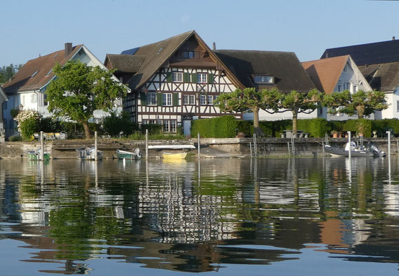Hirschen
