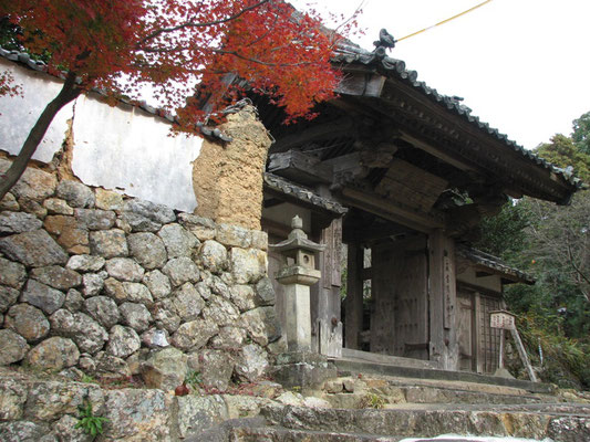 浜松市 長楽寺 道草ウォーキング 浜松市 長楽寺 道草ウォーキング