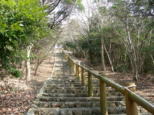 豊橋市 岩屋観音 岩屋緑地 道草ウォーキング