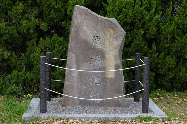 浜松市 伊場遺跡公園 道草ウォーキング 浜松市 伊場遺跡公園 道草ウォーキング