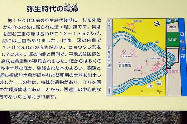 浜松市 伊場遺跡公園 道草ウォーキング 浜松市 伊場遺跡公園 道草ウォーキング