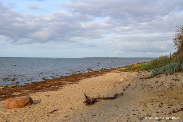 Insel Poel 2023, Strand an der Nordküste