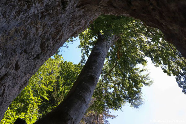 Blaubeuren 2022, Wanderung zur Küssenden Sau