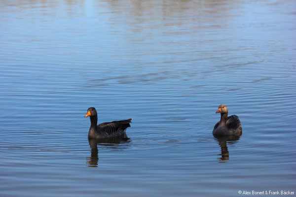 Westerwaldsteig-Erlebnisschleife 2022, Großer Secker Weiher