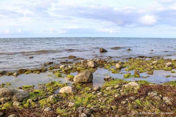 Insel Poel 2023, Nordküste