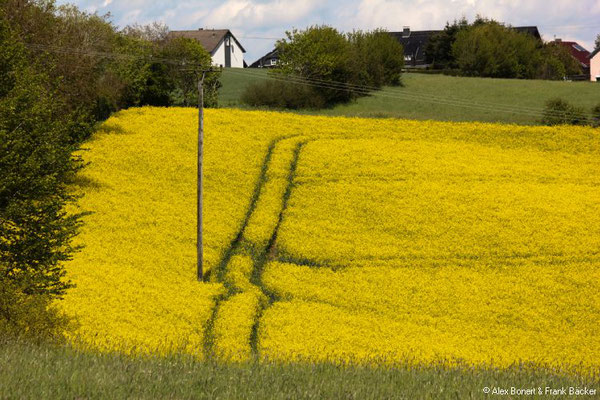 Nordeifel 2021, "Sonne, Mond und Sterne", bei Berescheid