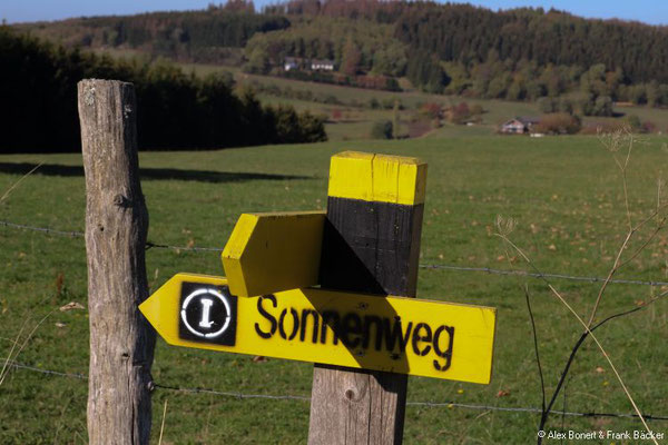 Sonnenweg Irmgarteichen 2018, oberhalb Irmgarteichen