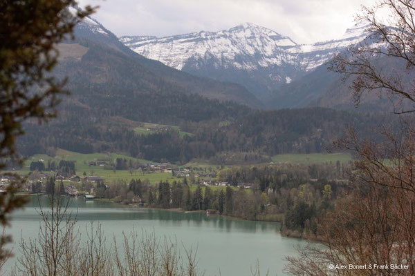 Salzkammergut 2023, St. Wolfgang, Pitschenberg und Osterhorn