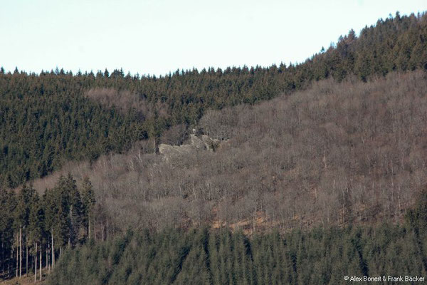 Saalhauser Höhenweg 2021, Blick zum Rinsleyfelsen