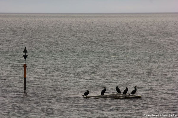 Geltinger Birk 2022, Ostsee