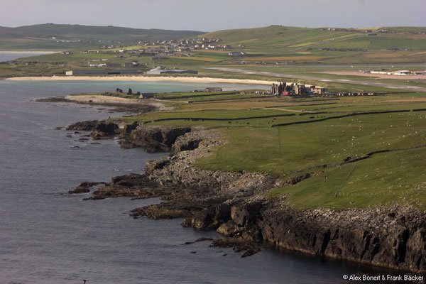 Grönland 2019, Shetland, Sumburgh Head