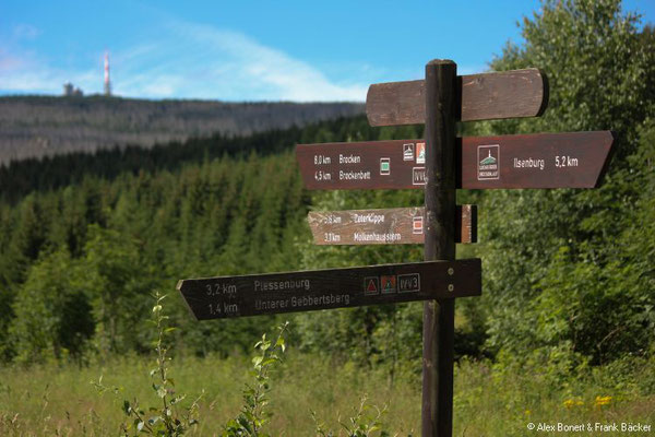 Harz 2021, Ilsetal