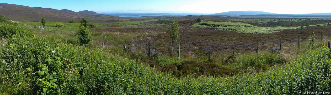 Grönland 2019, Invergordon