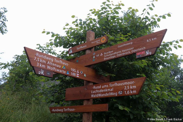 Harz 2021, Torfhausmoor