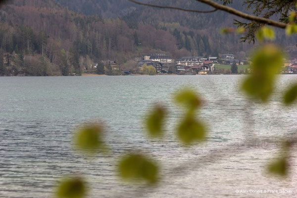 Salzkammergut 2023, Fuschlsee, Blick Richtung Fuschl am See