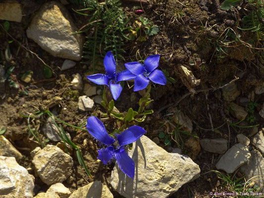 Südtirol 2016, Wanderung Grödner Höhenweg