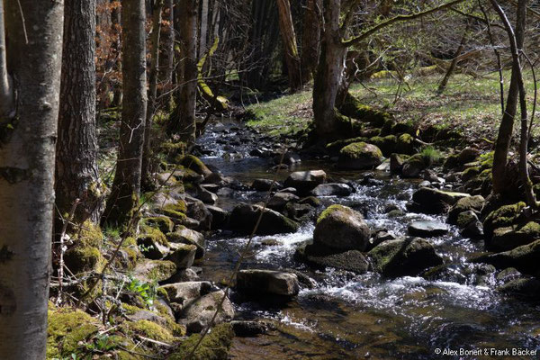 Buchhellertal 2021, Peterszeche