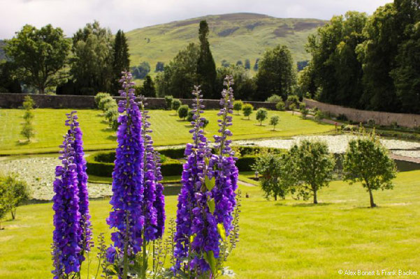 Schottland 2012, Blair Castle Hercules garden