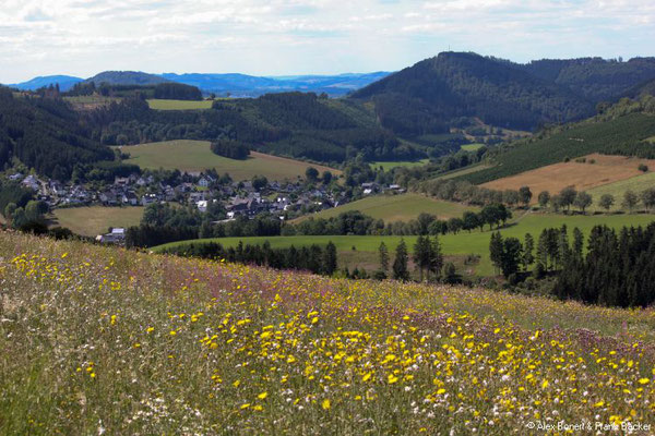 Kahler-Asten-Steig 2022, Blick nach Westfeld