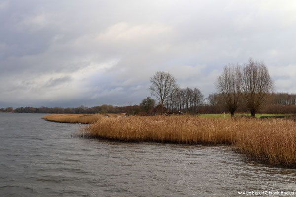 Sieseby 2022, Schlei