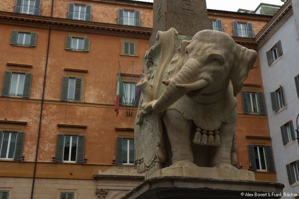 Rom 2018, Berninis Elefant auf der Piazza della Minerva