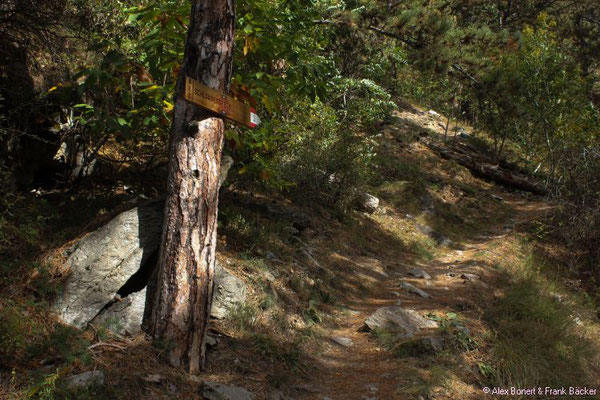 Südtirol 2016, Schlanders, Weg zum Schlandersberg