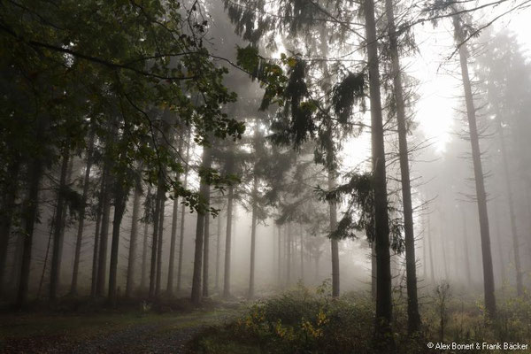 Limbacher Rundweg 24, am Hartenberg, 2018