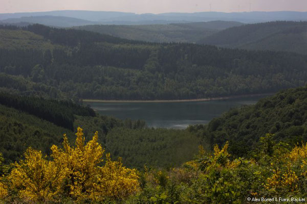 Netphener Keltenweg 2017, Blick zur Obernautalsperre