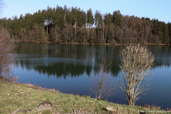 Meinerzhagen 2021, Vorstaubecken Genkeltalsperre