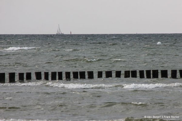 Insel Poel 2023, Strand am Schwarzen Busch