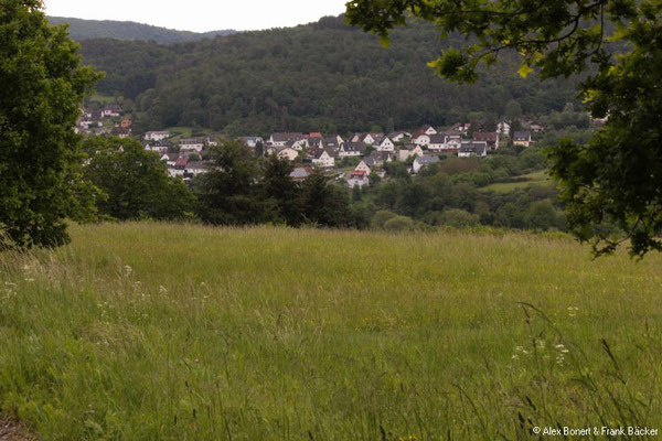 Dernbachwiesen Herborn 2019, Blick auf Ballersbach