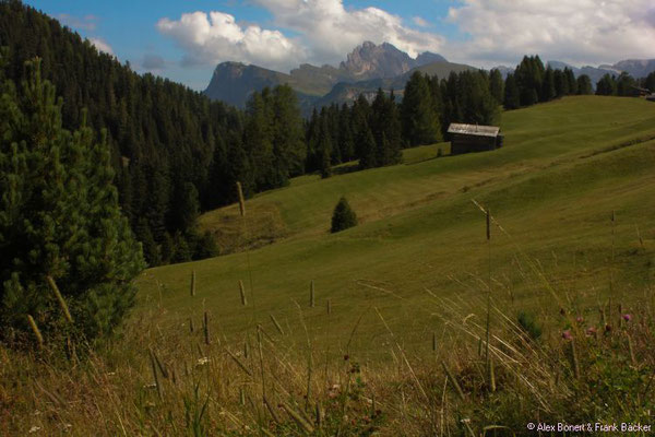 Südtirol 2016, Südtirol 2016, Wanderung Seiser Alm, Blick zur Puezgruppe