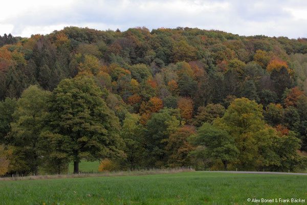 Waldmythenweg