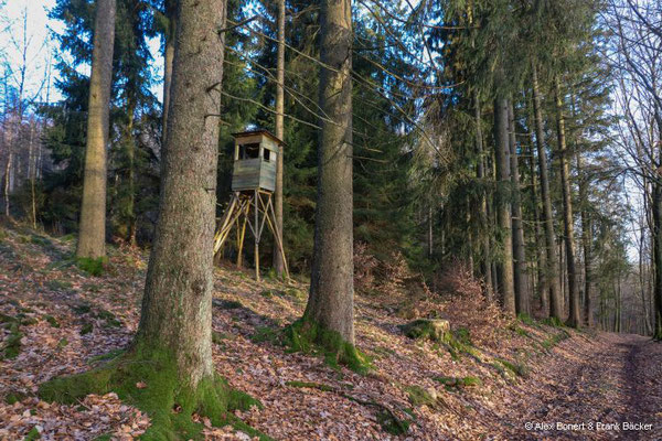 2024, Wanderung von Ernsdorf zum Kindelsberg