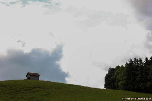 Scheidegg 2013, Bieslings